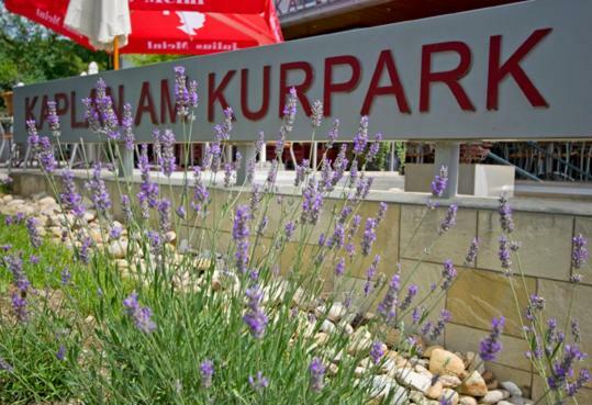 Kaplan Am Kurpark Ξενοδοχείο Bad Tatzmannsdorf Εξωτερικό φωτογραφία